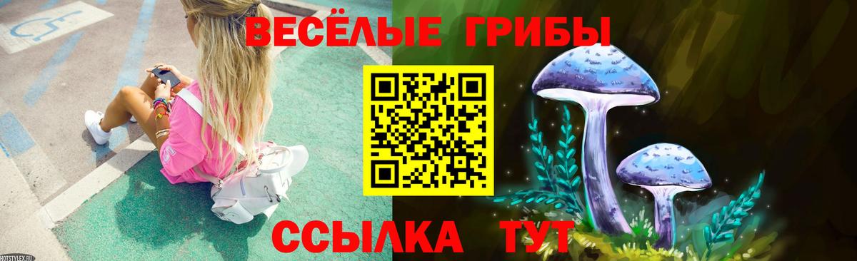Новоалександровск  Псилоцибиновые грибы Cubensis  где найти   Псилоцибиновые грибы Psilocybe  Вход с VPN 
